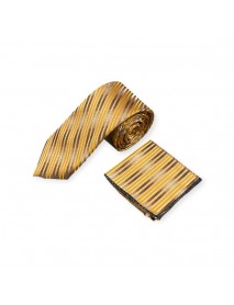 GOLD & BROWN TIE & POCKET SQUARE