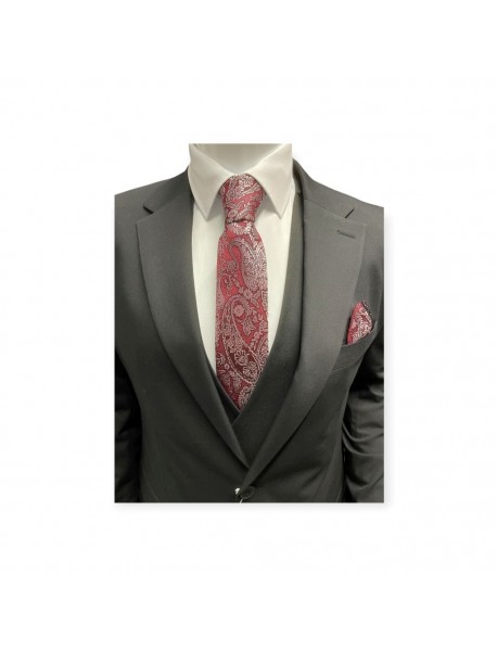 RED & WHITE PAISLEY TIE & POCKET SQUARE